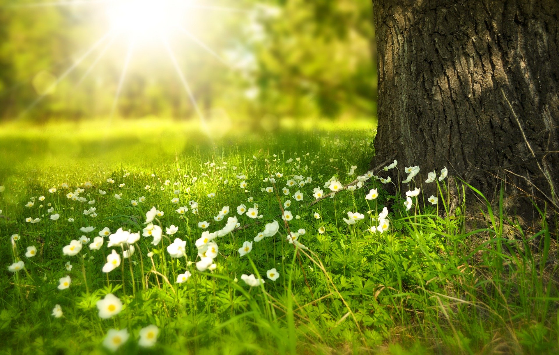 klaar voor de lente en de zomer