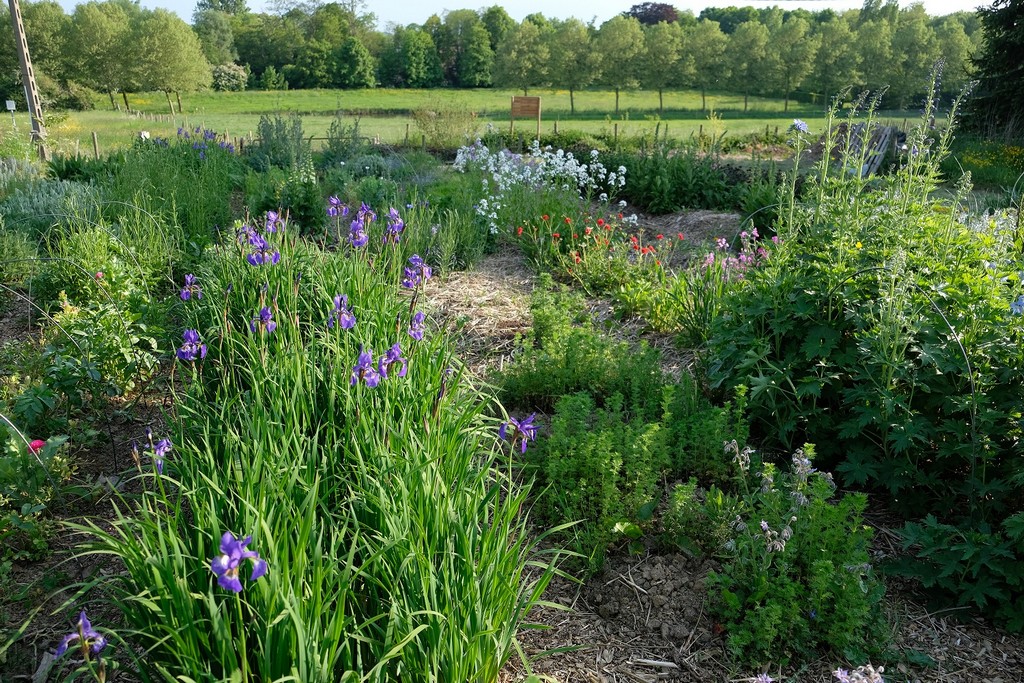 Vrijdag 15 mei opent De Kleur van Hier en Nu - veld De Kleur van Hier en Nu