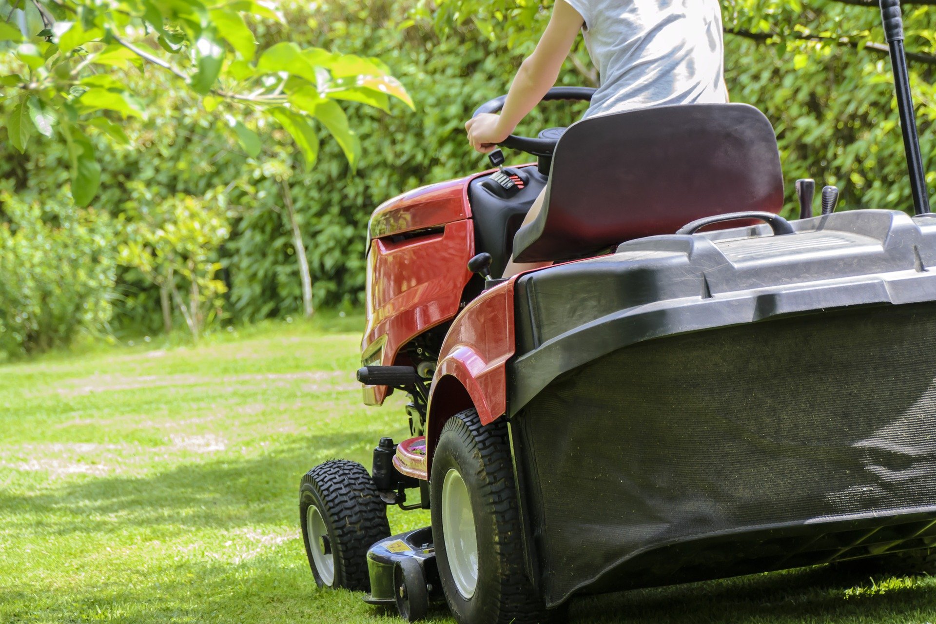 Deze musthaves heb jij nodig voor een geweldige tuin