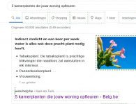 kamerplanten