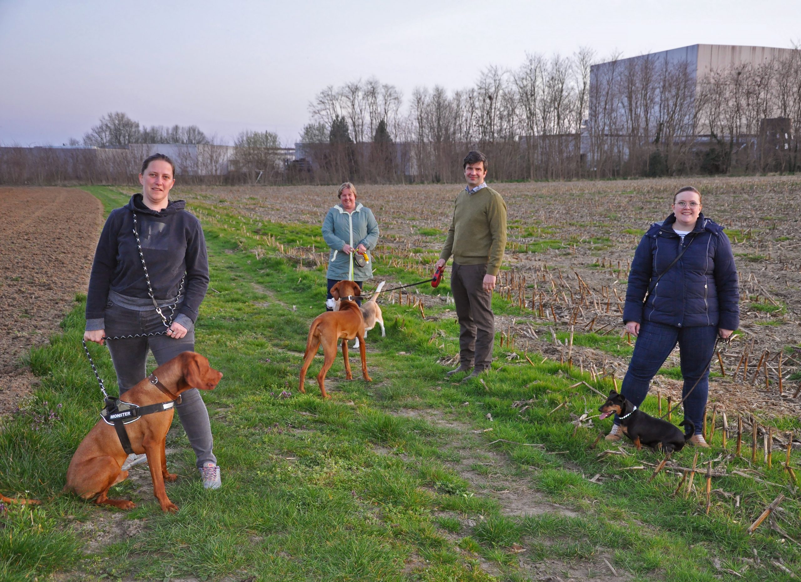 Eerste hondenspeelweide in Erpe-Mere in het vooruitzicht