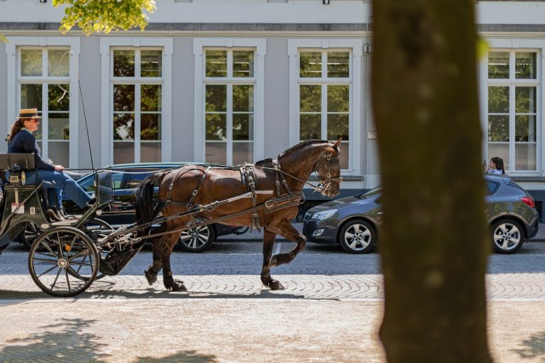 minder bezoekers in Vlaanderen door Corona