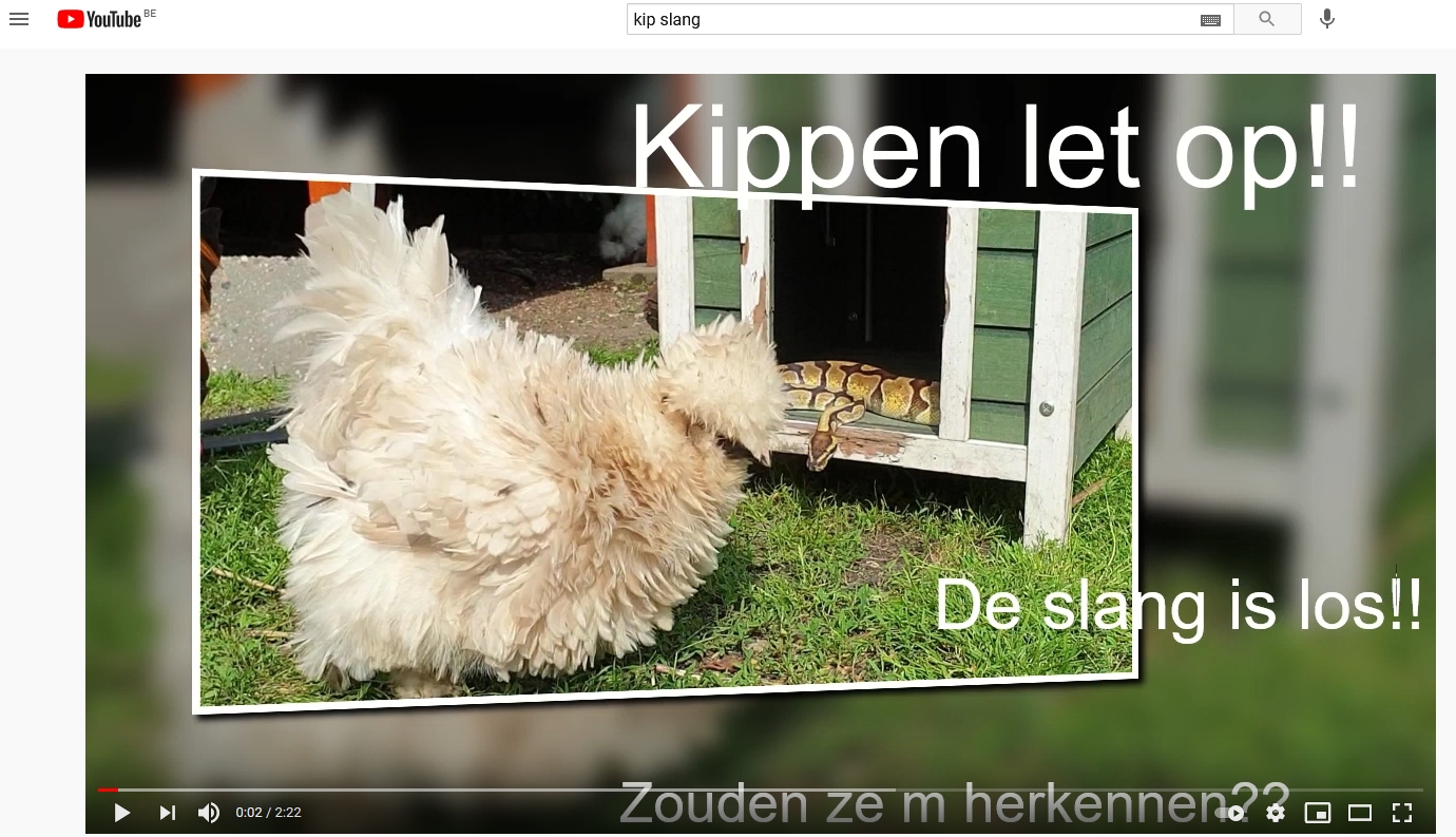 YouTube verbiedt nep-videos bij het redden van dieren