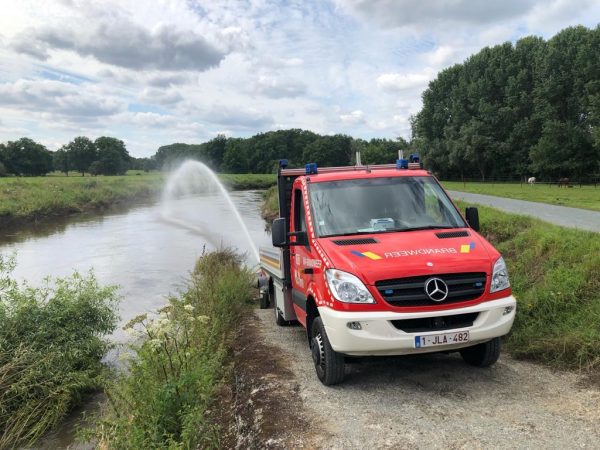 demer Zware middelen ingezet om visbestand in Demer en Dijle te doen overleven