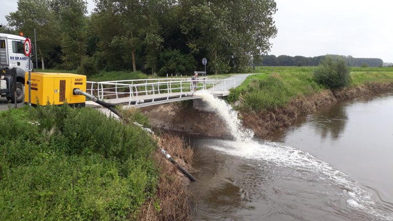 visbestand Zware middelen ingezet om visbestand in Demer en Dijle te doen overleven