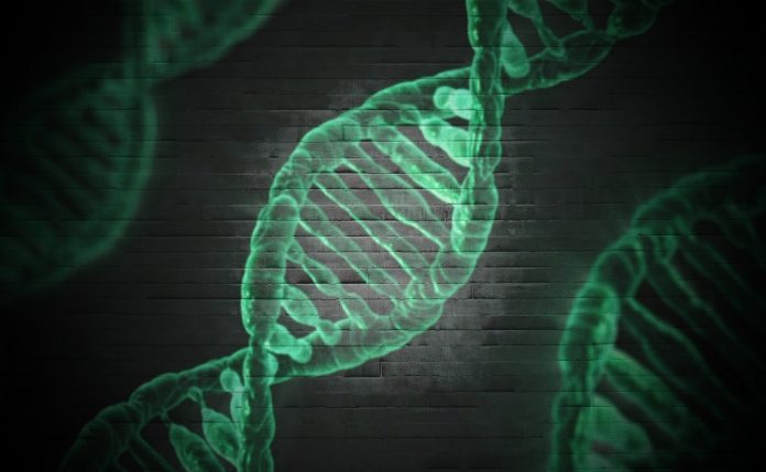 DNA onderzoek