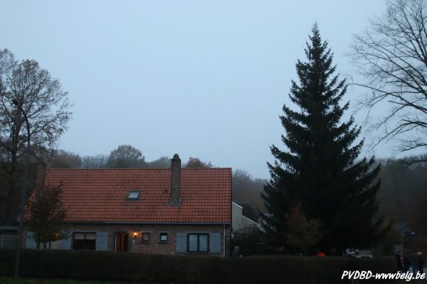 Kerstboom Dilbeek