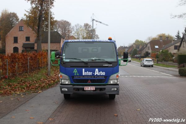 Kerstboom Dilbeek