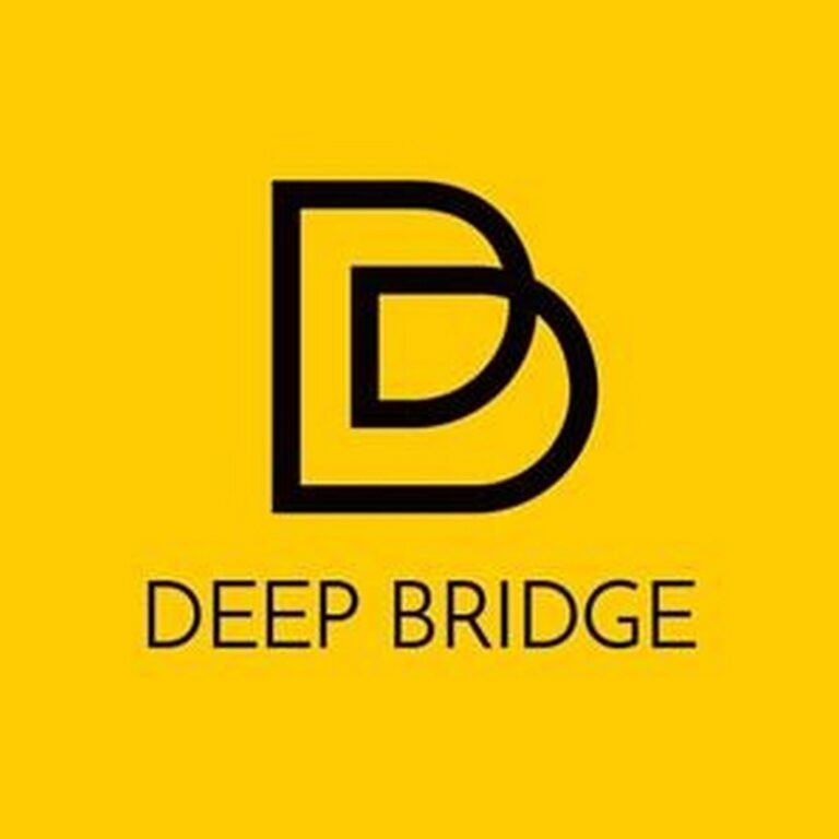 Logo Deep Bridge
