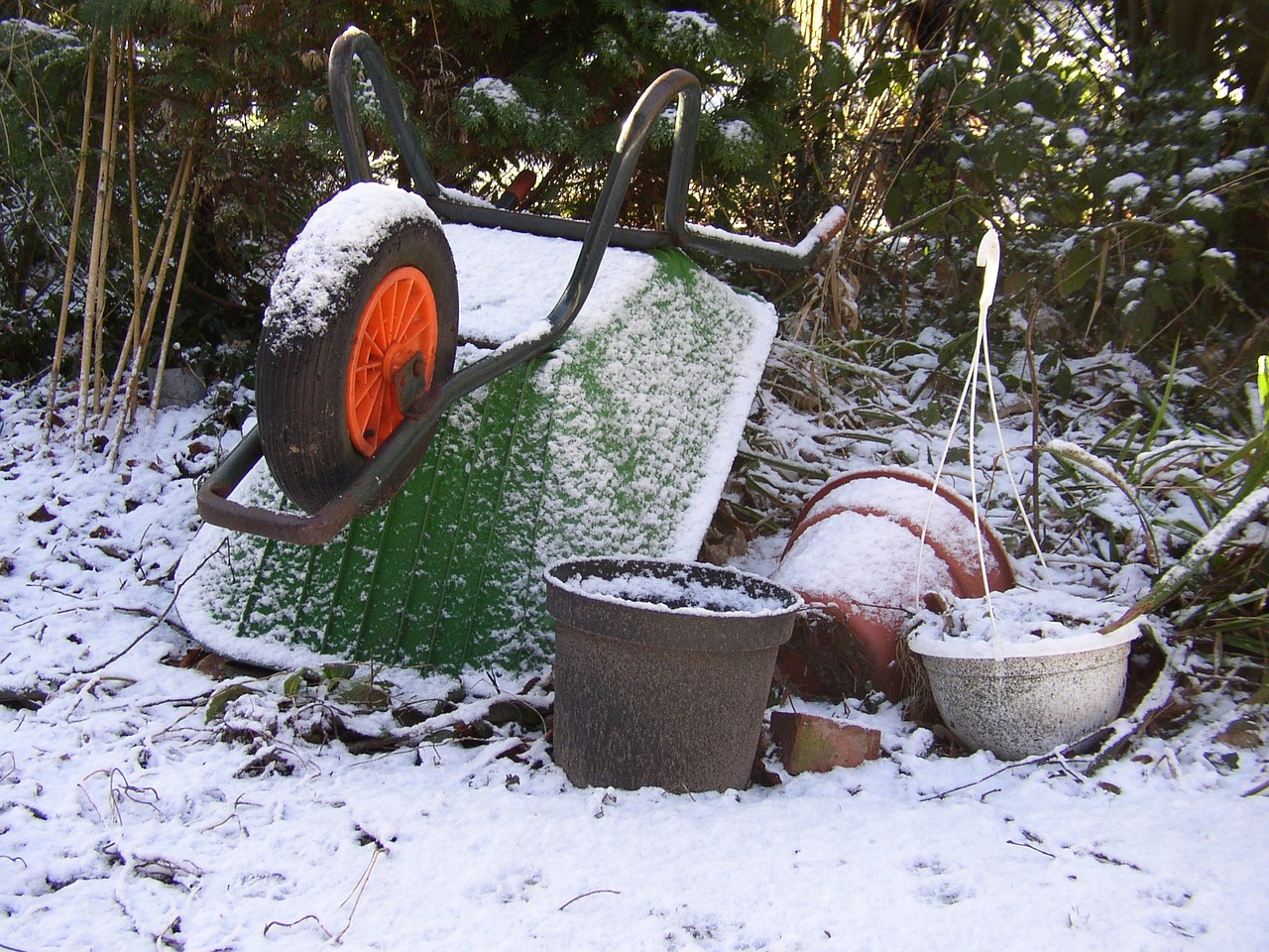 tuin in de winter