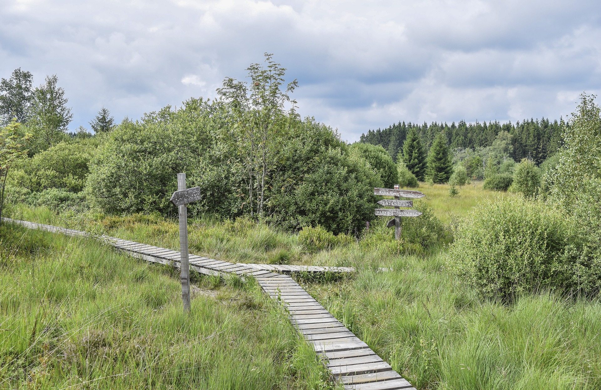 Op vakantie naar Belgie Dit zijn 5 plekken waar je fantastisch kunt wandelen nature-g1d956b61e_1920