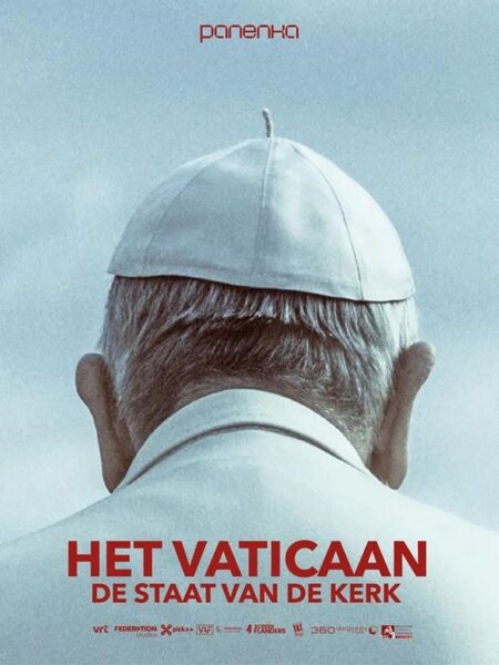 Het Vaticaan De Staat Van De Kerk boek