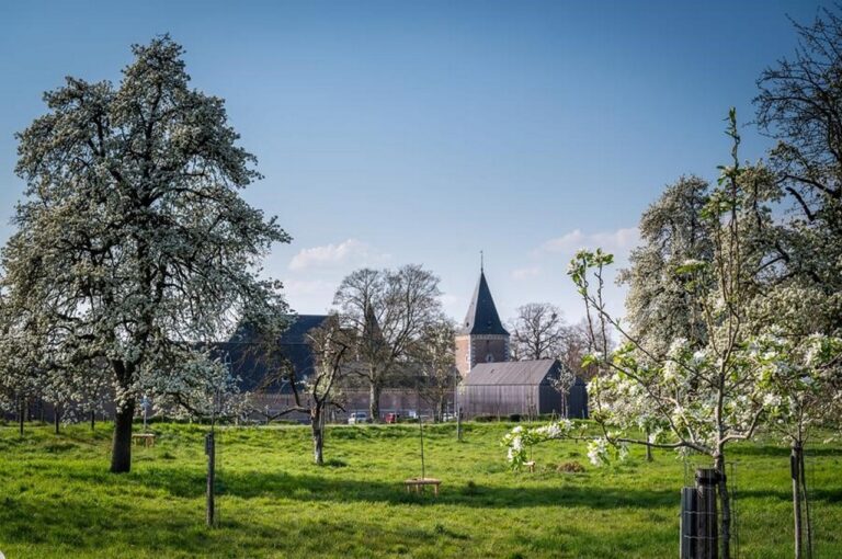 Landcommanderij Alden Biesen is klaar voor derde editie van bloesemfestival Lumineus