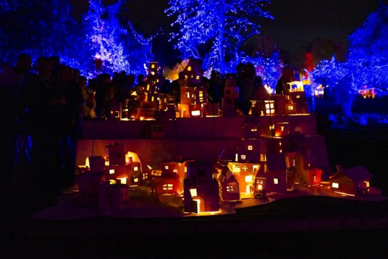 Lumineus bloesemfestival vierde editie 2025 Lichtstad