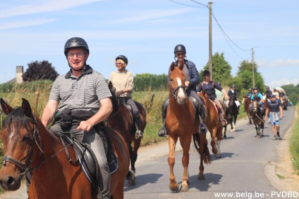 Heilige Drievuldigheidsprocessie paarden