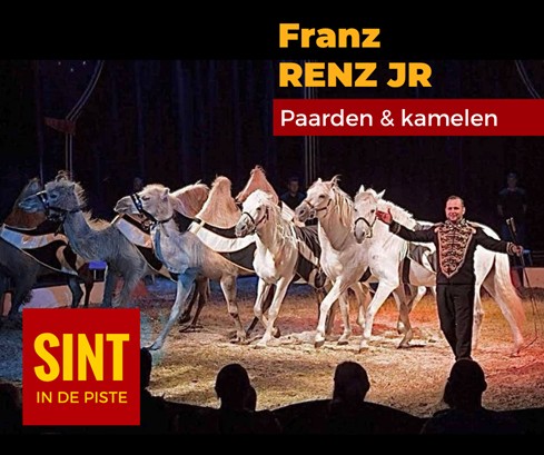 Sint In De Piste FRANZ RENZ JR