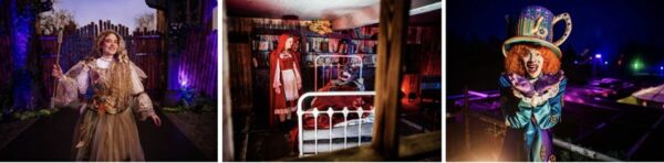 Sprookjeswandeling brengt De Vergeten Verhalen in recreatiedomein De Schorre 2 Sprookjeswandeling 2025 De Schorre Boom sfeerbeelden (0)