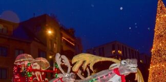 Hasselt verwelkomt de Kerstman in stijl met een natte, maar magische Santa Parade Hasselt intocht Kerstman op praalwagen