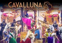 Cavalluna zoekt dansers voor nieuwe show een unieke kans CAVALLUNA zoekt dansers