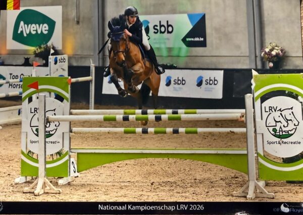 Xander Lambrechts in volle actie